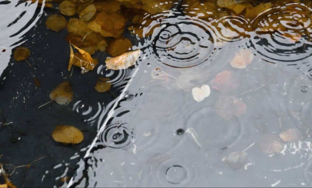 Όνειρο για διαρροή | Ερμηνεία και σημασία ονείρου