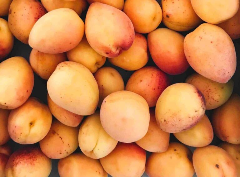 Soñar con mango | Significado de los sueños