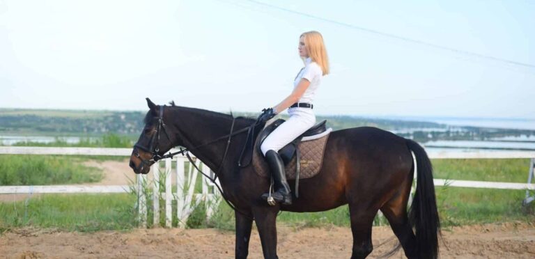 Sanje o jahalna zaga | Pomen in razlaga