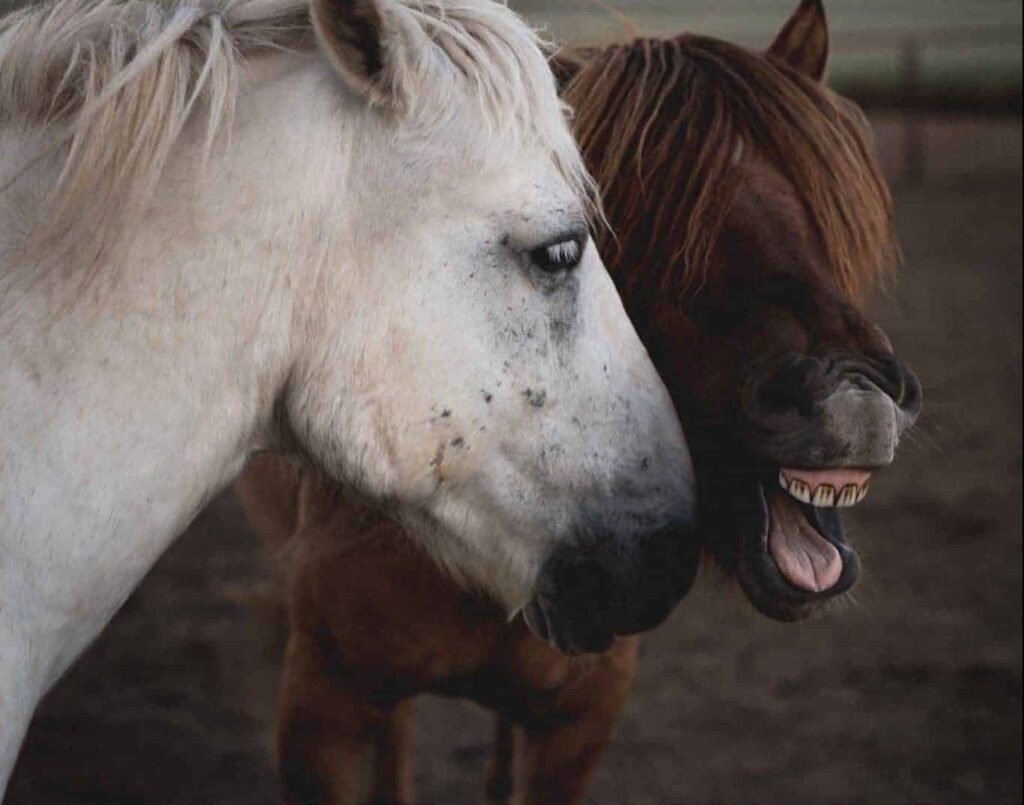 Sognare gomma | Significato e interpretazione