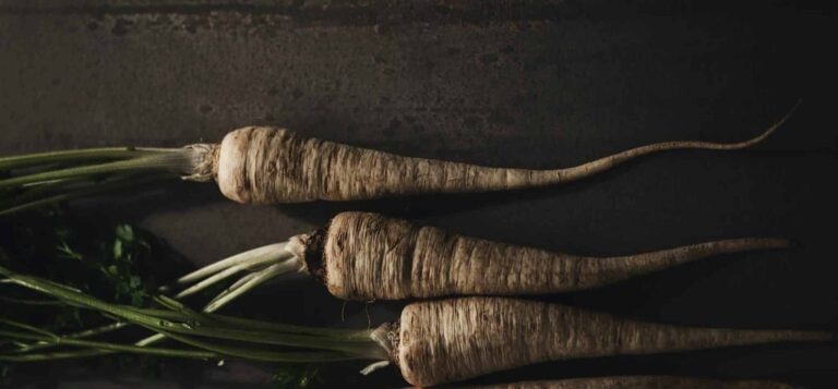 Droom over pastinaak | Betekenis en uitleg