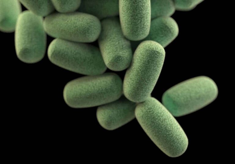 Droom over gangreen | Betekenis en uitleg