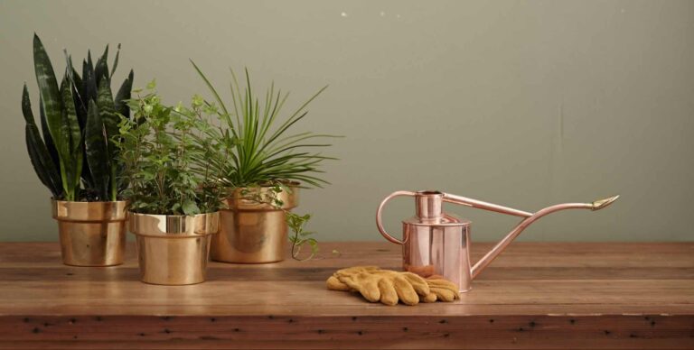 Droom over messing | Betekenis en uitleg