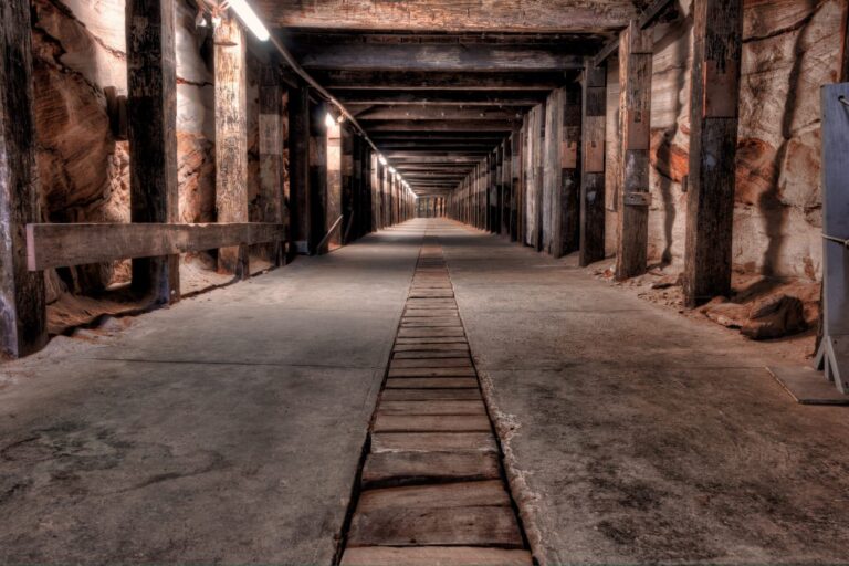 Όνειρο για το μου | Ερμηνεία και σημασία ονείρου