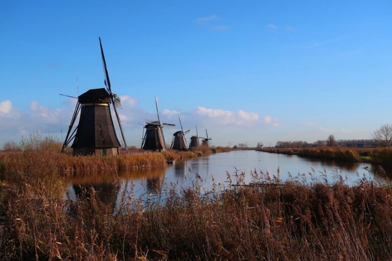 Droom over molen | Betekenis en uitleg