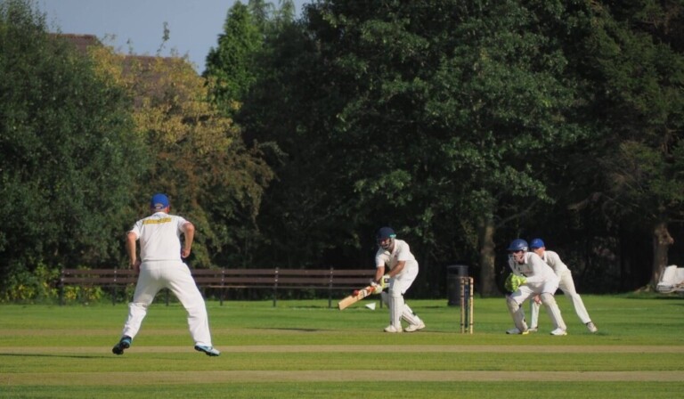 Dream cricket - dream meaning cricket