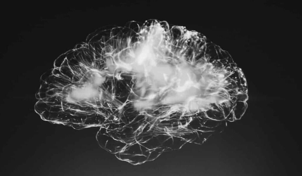 Cerebro de los sueños - significado de los sueños cerebro