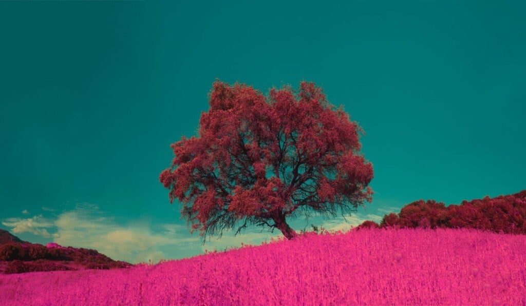 Dream abnormal - dream meaning abnormal