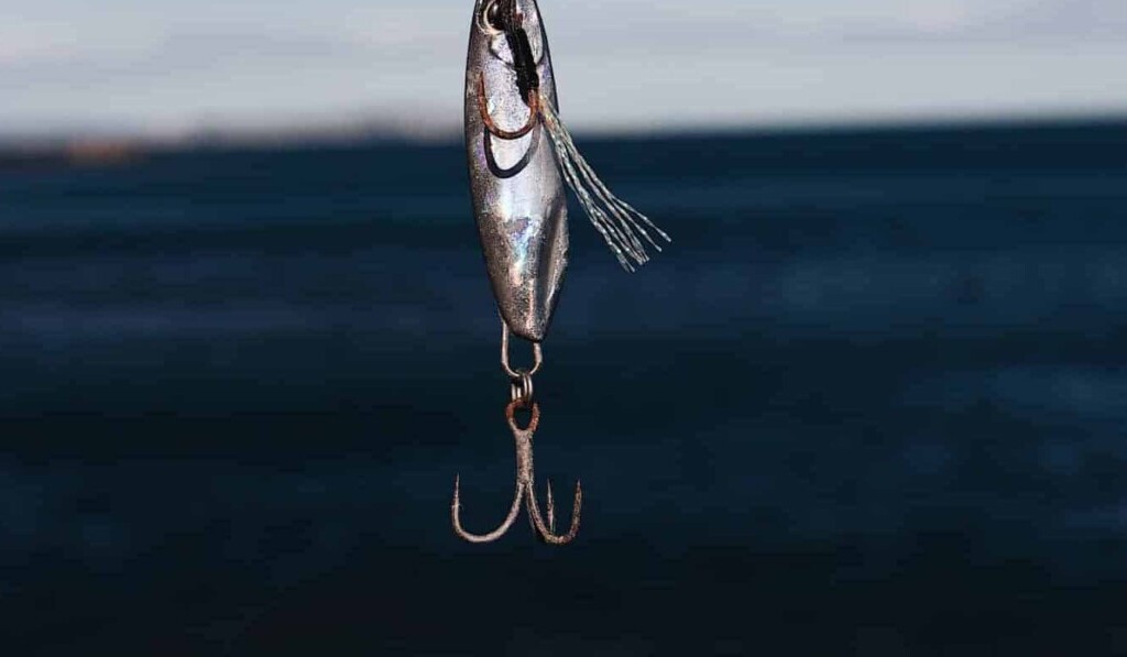 Dream bait - dream meaning bait