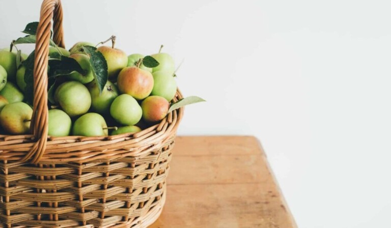 Dream basket - dream meaning basket