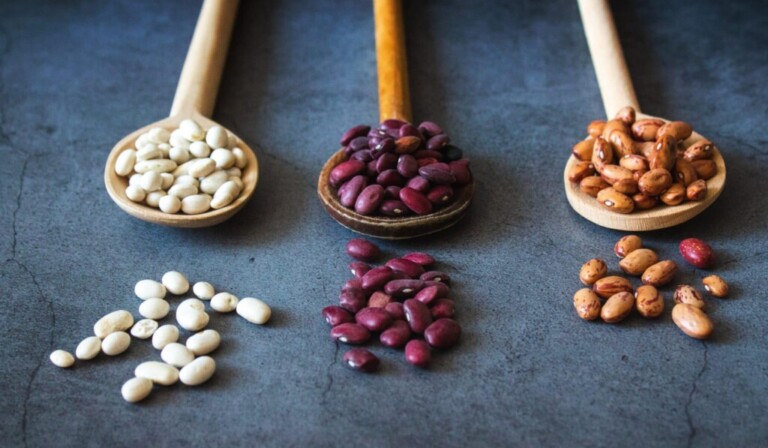 Dream beans - dream meaning beans