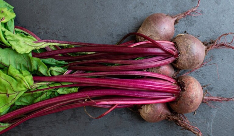 Dream beets - dream meaning beets