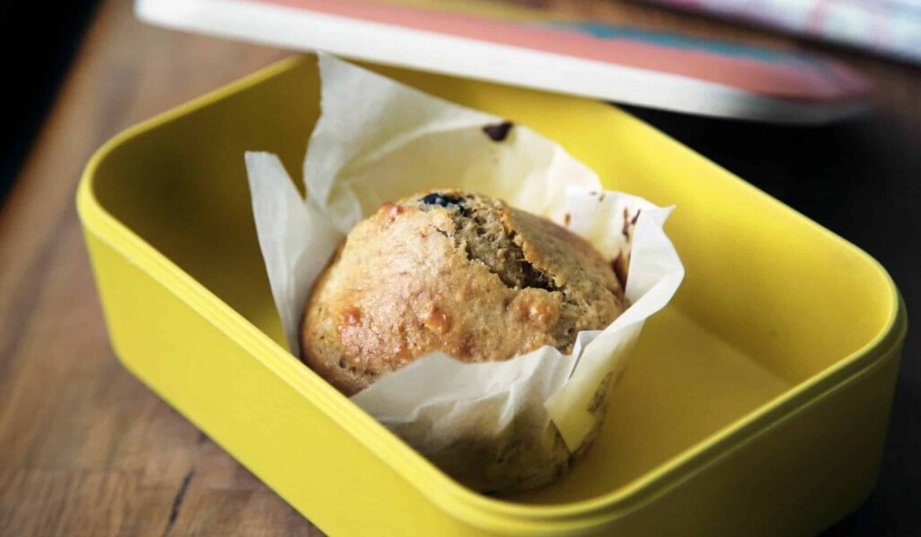 Dream bin - dream meaning bin