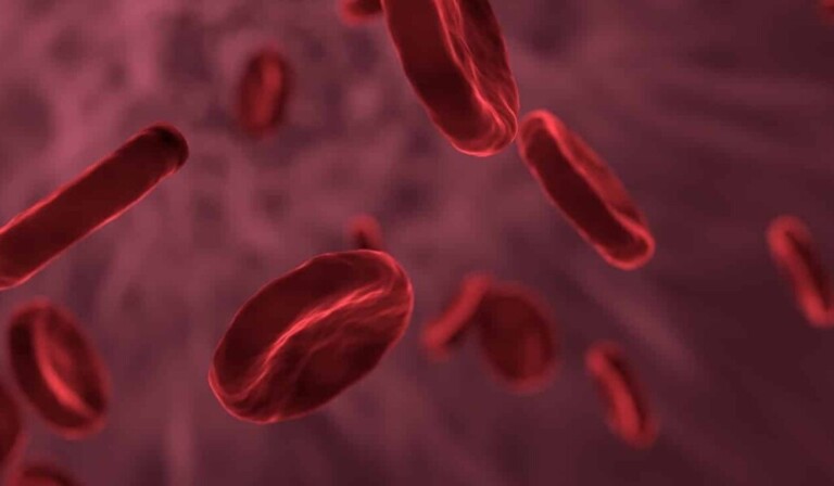 Dream blood - dream meaning blood