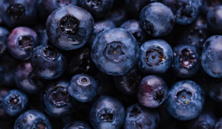 Dream blueberries - dream meaning blueberries