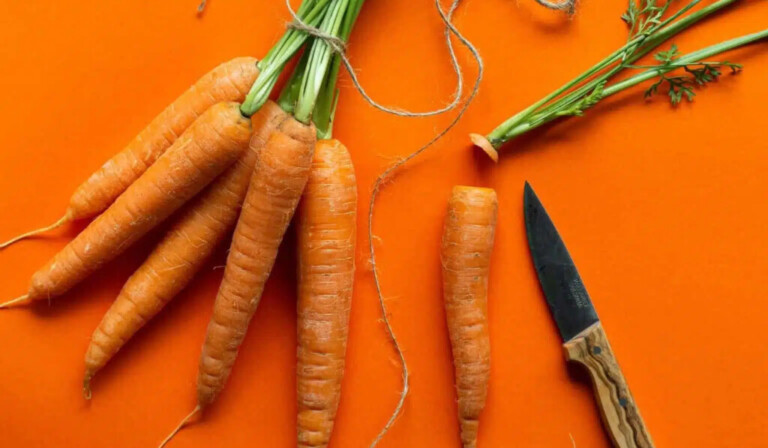 carrot