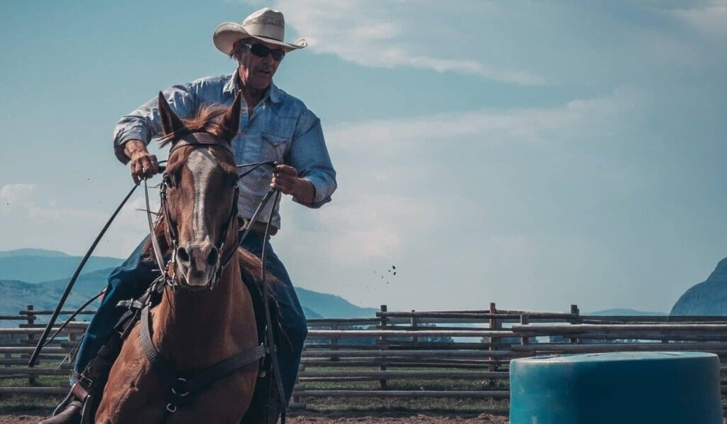 Dream cowboy - dream meaning cowboy