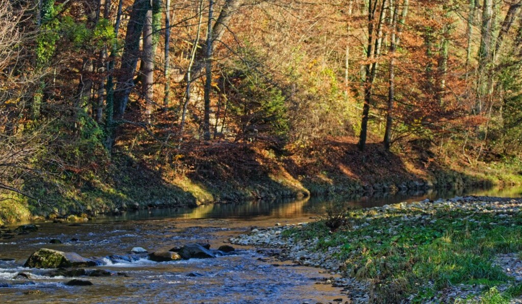 Dream creek - dream meaning creek