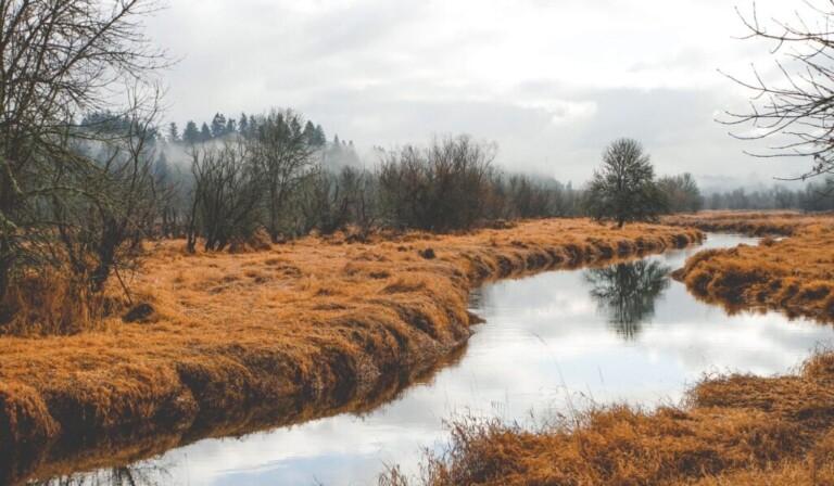Dream ditch or moat - dream meaning ditch or moat