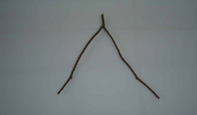 Dream dowsing rod - dream meaning dowsing rod