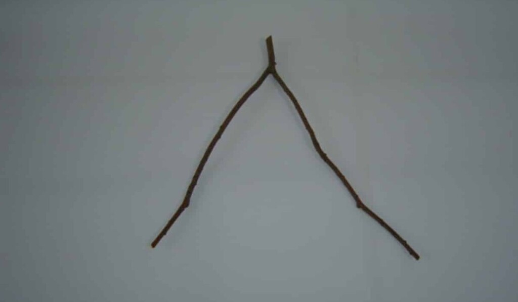 Dream dowsing rod - dream meaning dowsing rod