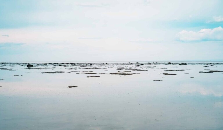 Dream ebb - dream meaning ebb
