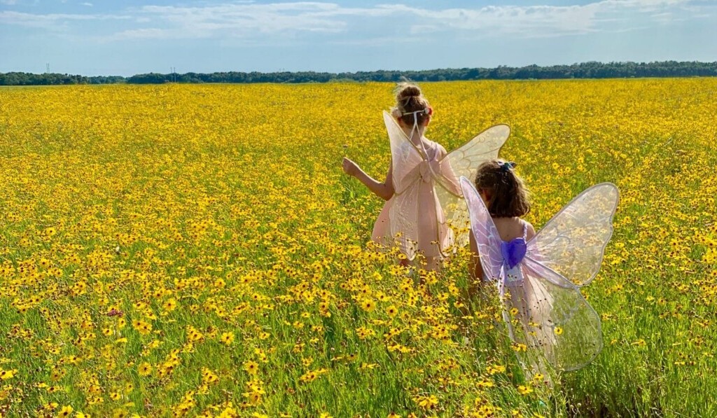 Dream elf or fairy - dream meaning elf or fairy