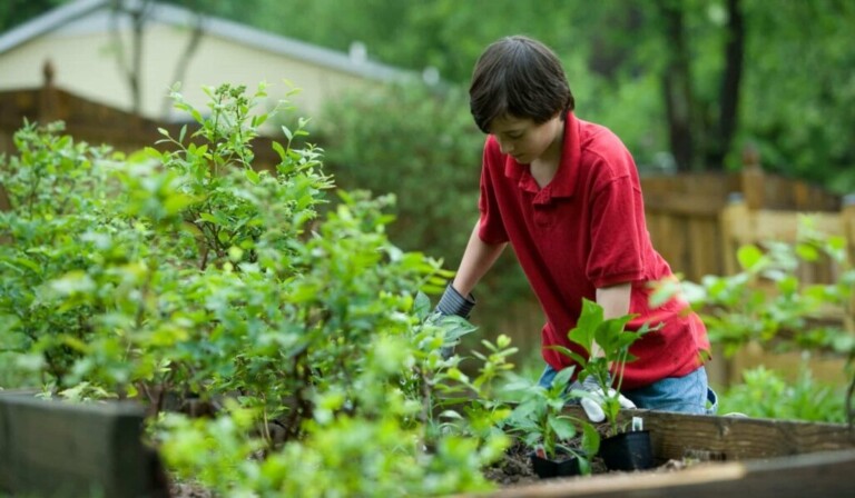 Dream fertiliser - dream meaning fertiliser
