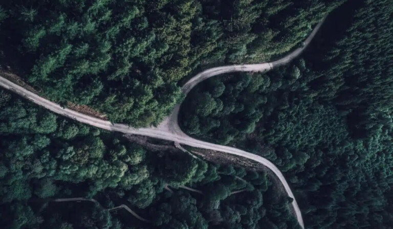 top view photography of forest