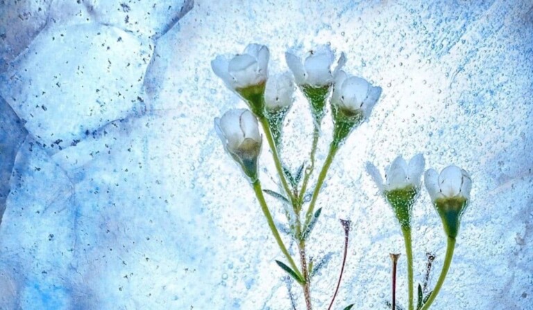 Dream freeze to death - dream meaning freeze to death