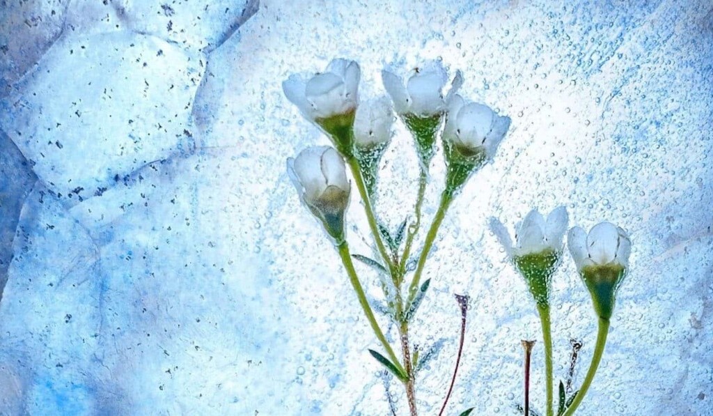 Dream freeze to death - dream meaning freeze to death