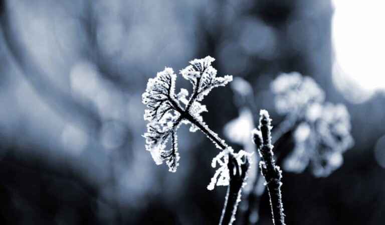 Dream freezing or frozen - dream meaning freezing or frozen
