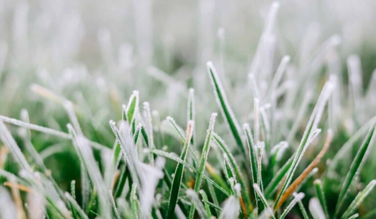 Dream frost or frost - dream meaning frost or frost