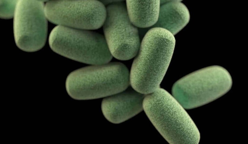 Dream gangrene - dream meaning gangrene