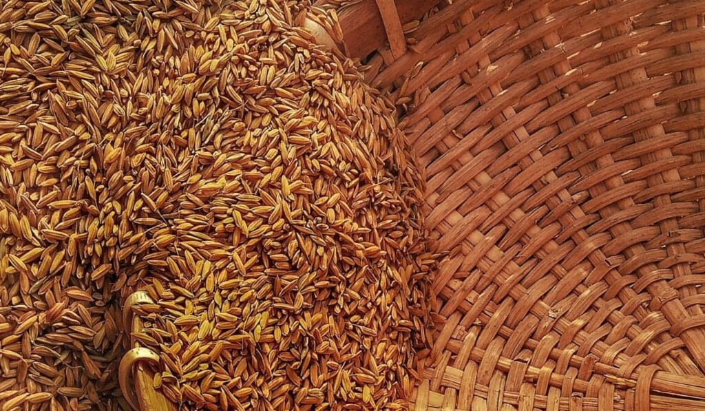 Dream grain - dream meaning grain