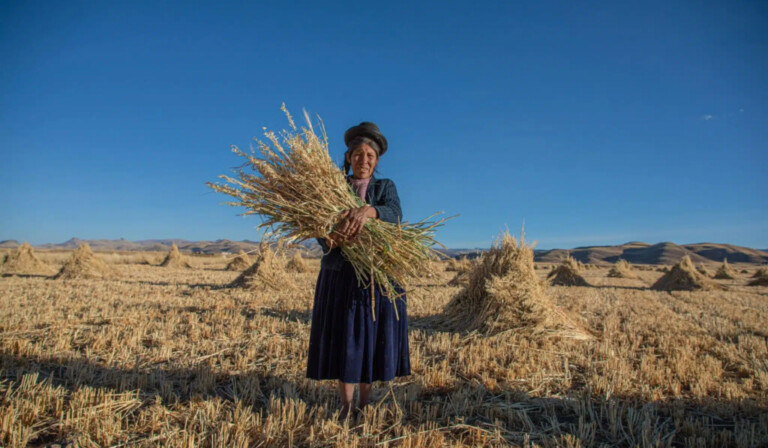 woman holding hay