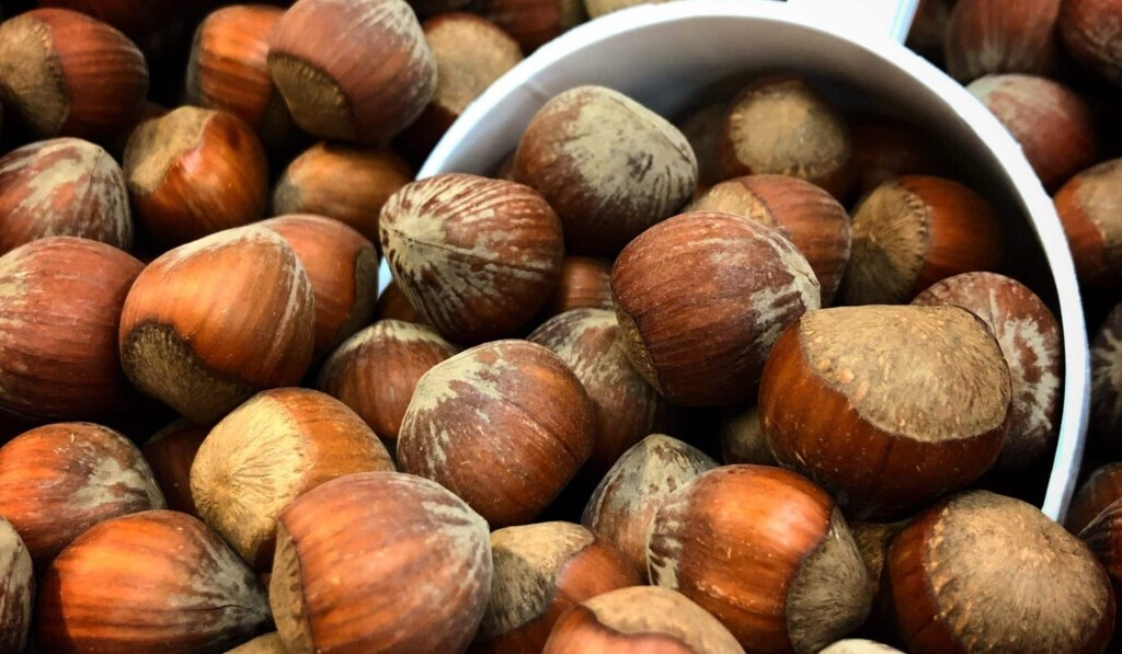 Dream hazelnut - dream meaning hazelnut