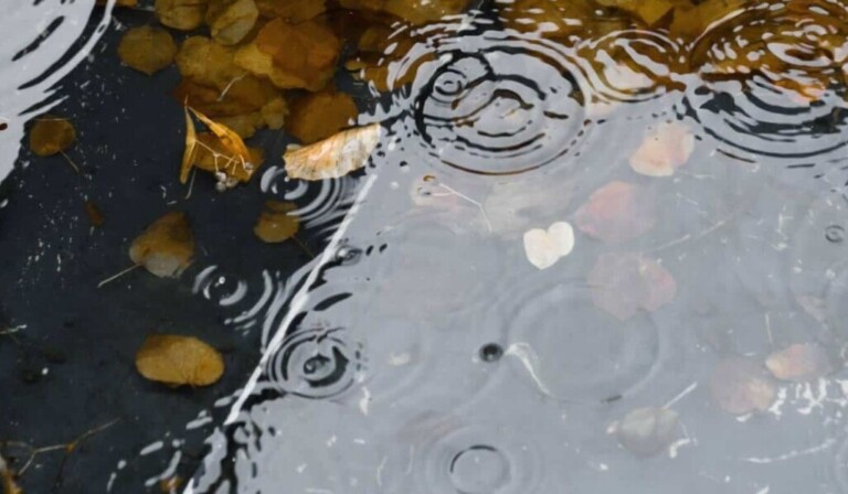 Dream leakage - dream meaning leakage
