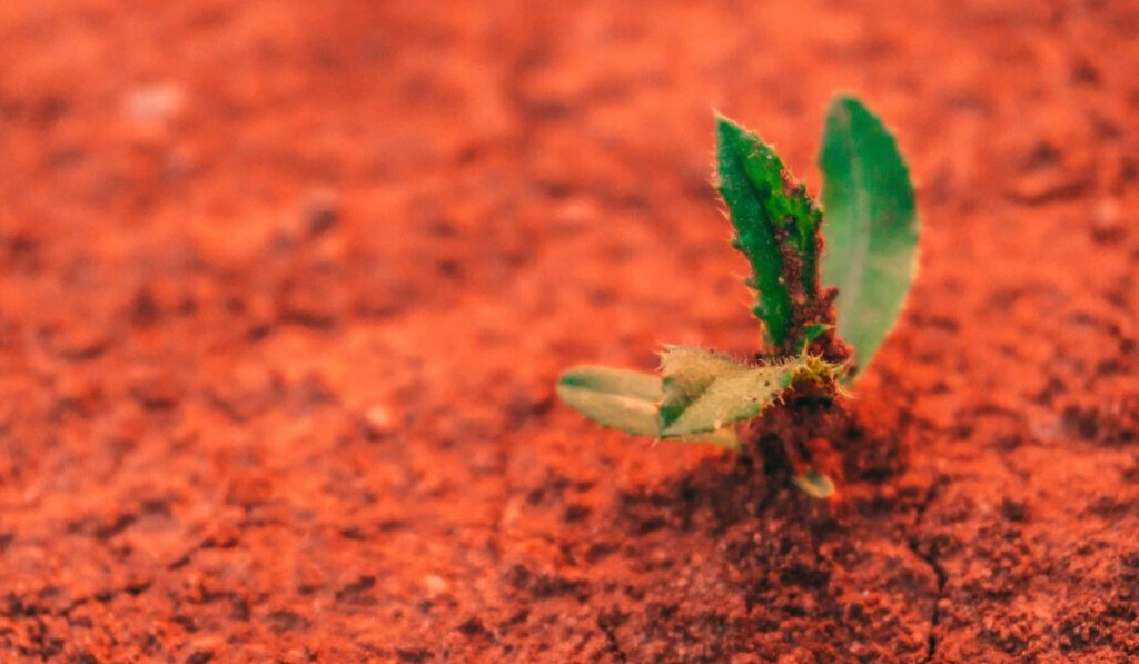 Dream loam (clay soil) - dream meaning loam (clay soil)