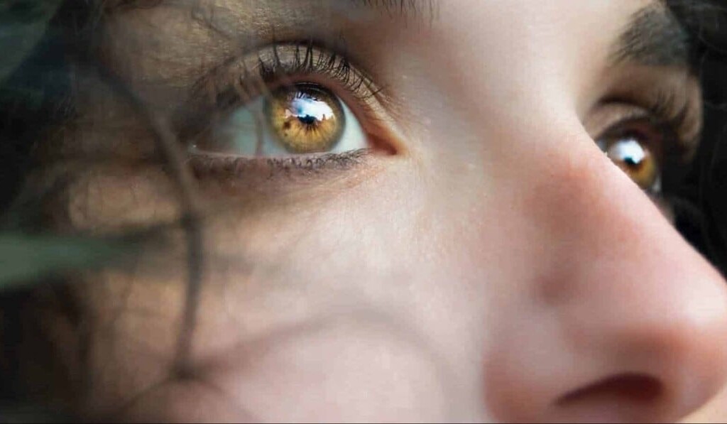 Dream nose - dream meaning nose