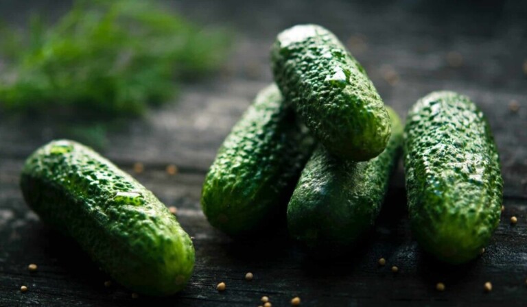 Dream pickle - dream meaning pickle
