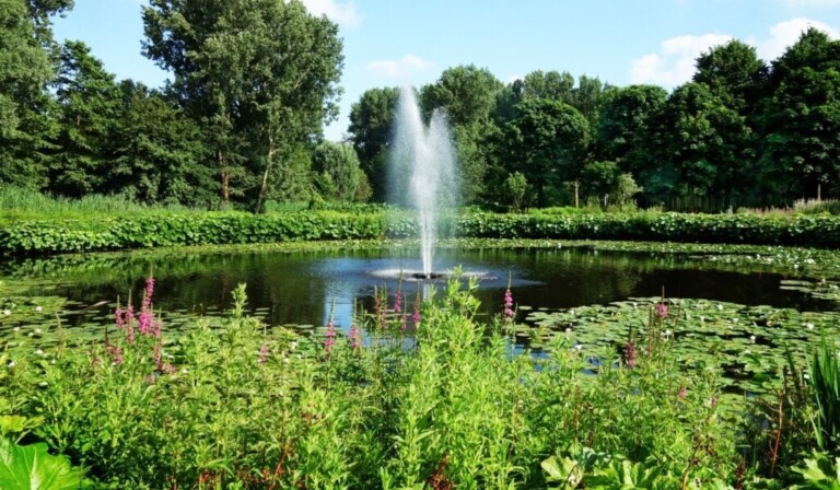 Dream pond - dream meaning pond