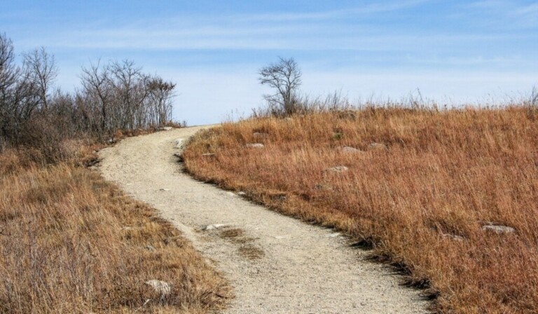 Dream prairie - dream meaning prairie