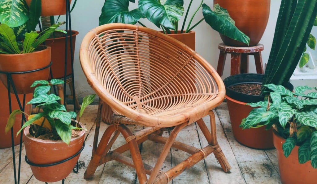 brown woven chair near green plant