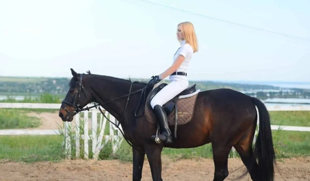 Dream riding whip - dream meaning riding whip