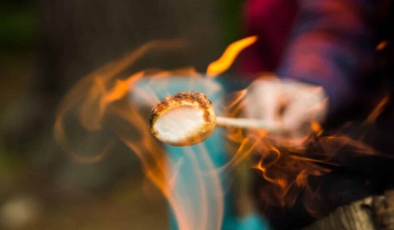 Dream roasting or roasting - dream meaning roasting or roasting