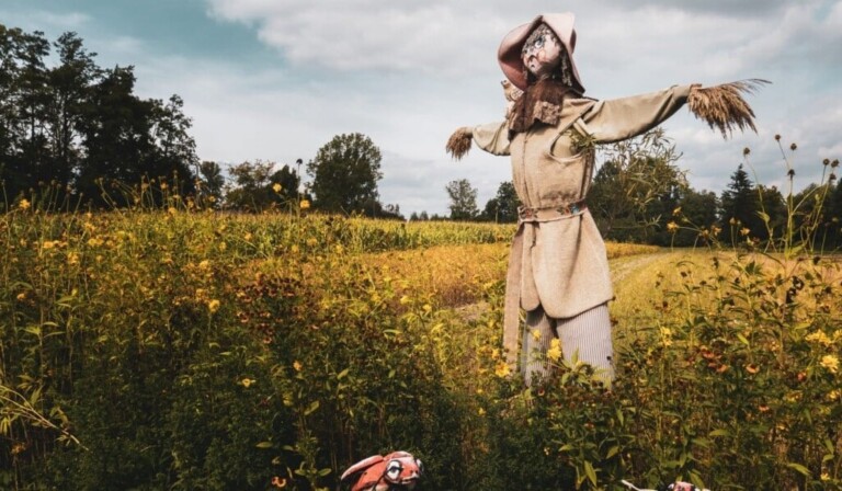 Dream scarecrow - dream meaning scarecrow