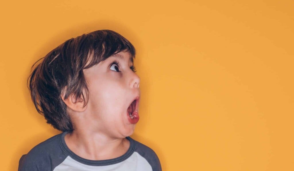 Dream scream or shout - dream meaning scream or shout