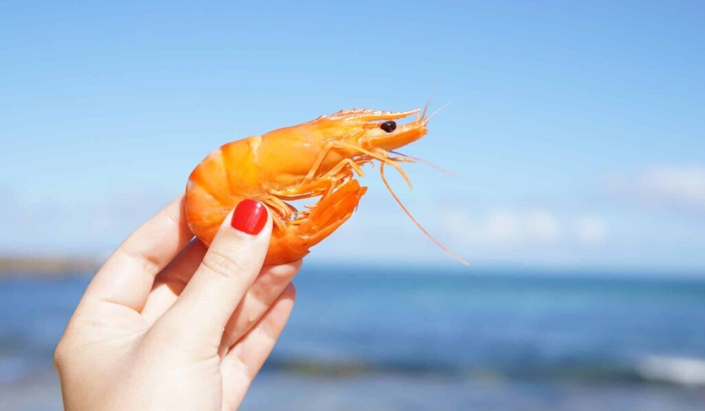 Dream shrimp - dream meaning shrimp