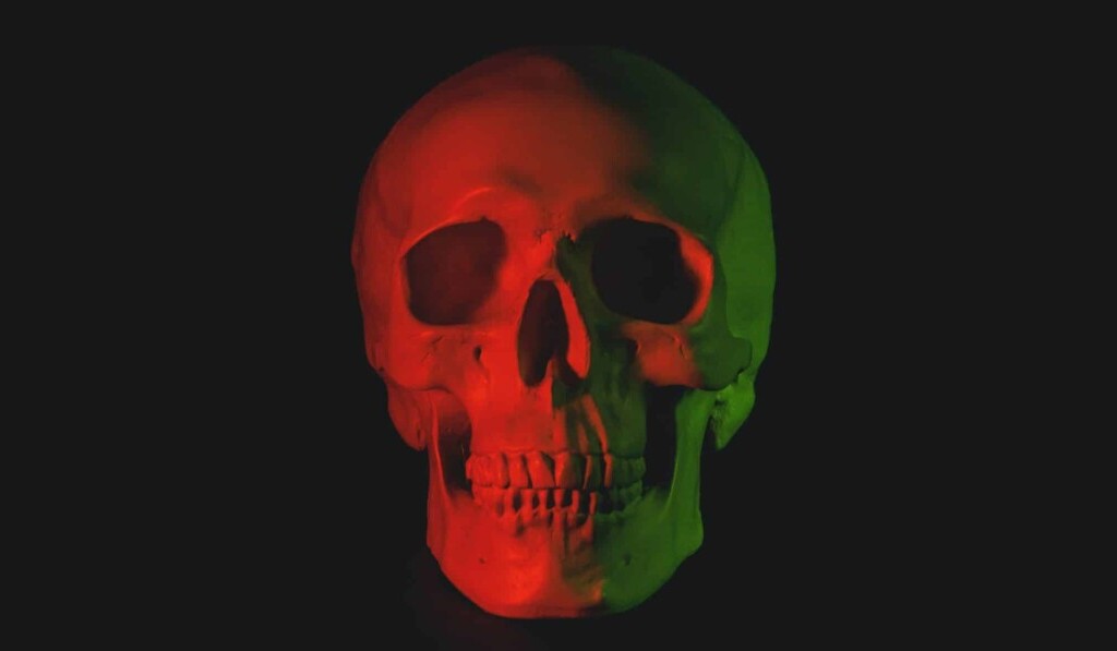 Dream skull - dream meaning skull
